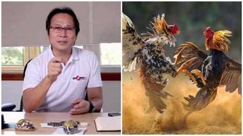 Sabong Pilipinas PH .